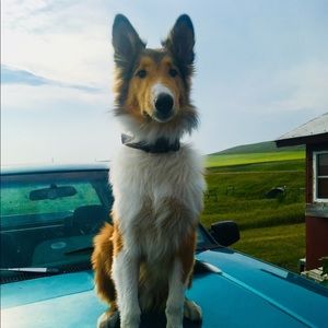 Meet your Posher, Jennifer